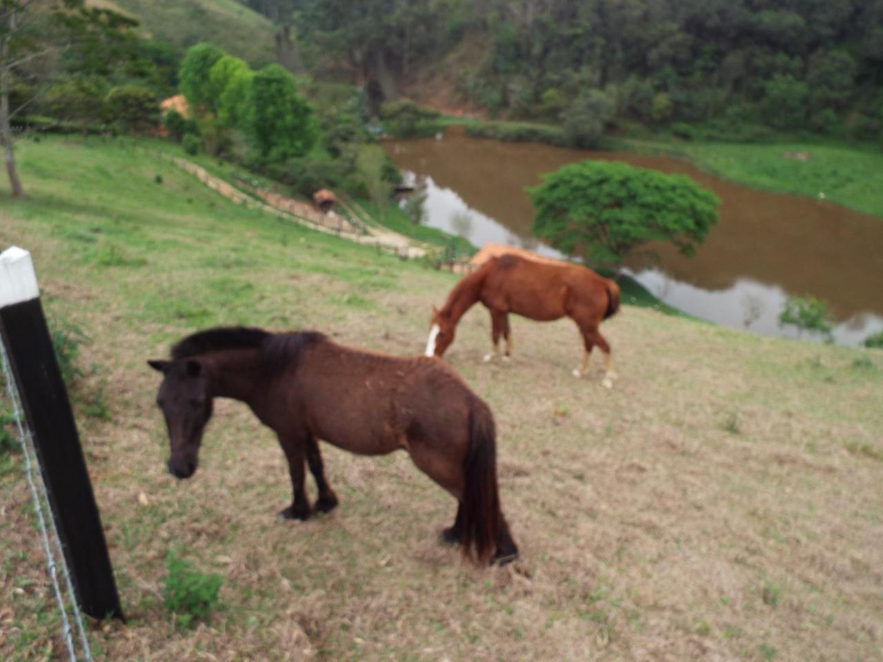 Estrela Da Serra Hotel Fazenda Santo Antônio do Pinhal Exterior foto
